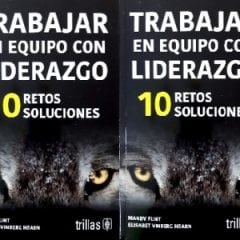Leading Teams is published in Spanish