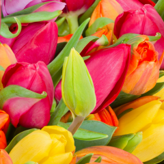 ‘Set them free’ and more in the March issue of IMPACT
