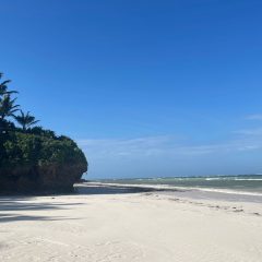 Don’t you just love New Year’s Day!