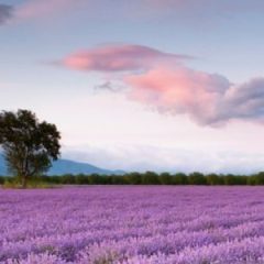 When did you reflect on how WISE you are?